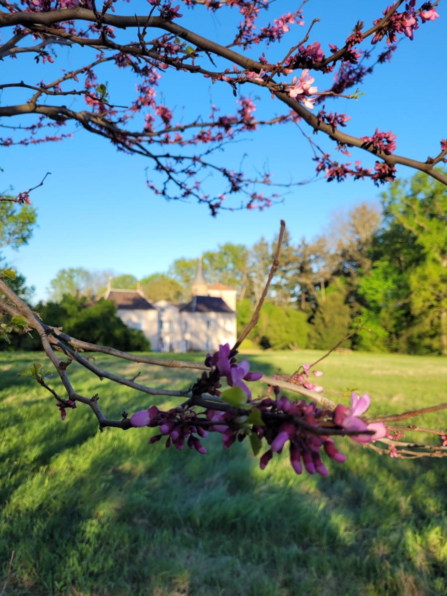 L'Ancre Vive Bed and Breakfast Charentay Buitenkant foto