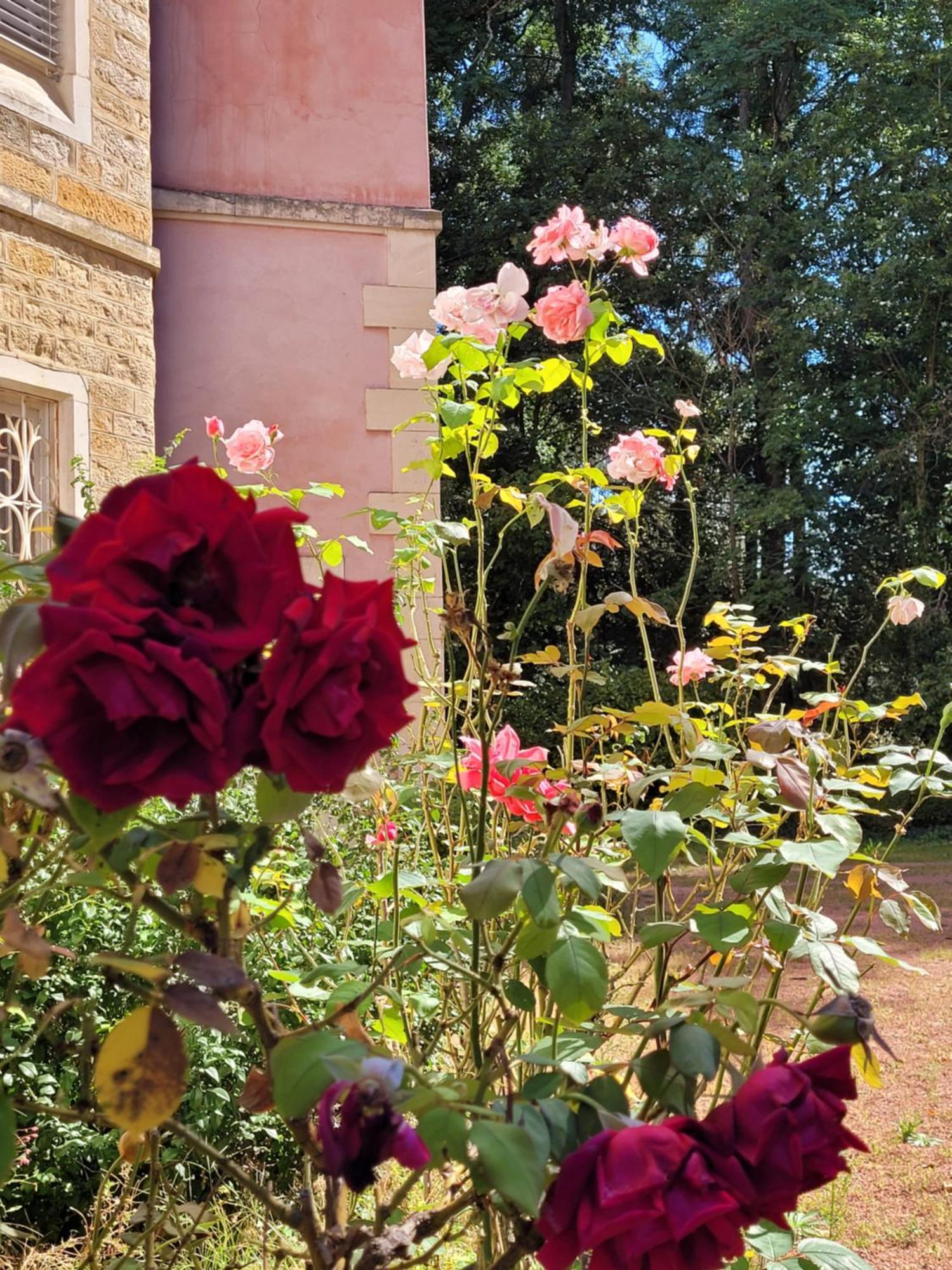 L'Ancre Vive Bed and Breakfast Charentay Buitenkant foto